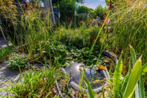 Garten