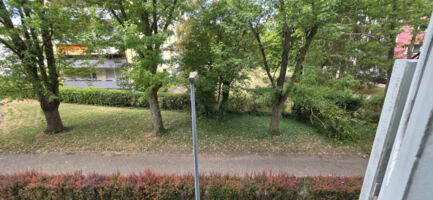 Ausblick